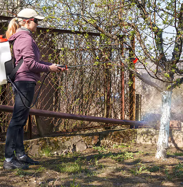Why Kearny Homeowners Choose Kearny Pest Control Pro for Mosquito Abatement?