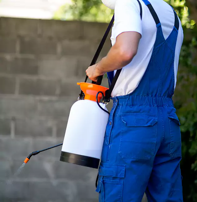 Why Kearny Homeowners Rely on Kearny Pest Control Pro for Mosquito Control?