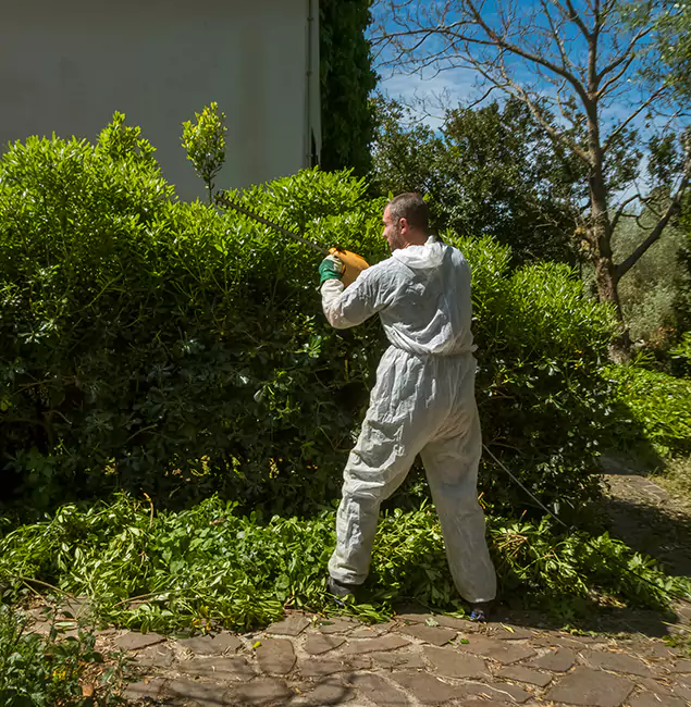 Why Kearny Pest Control Pro Leads Mosquito Control in Kearny, NJ?