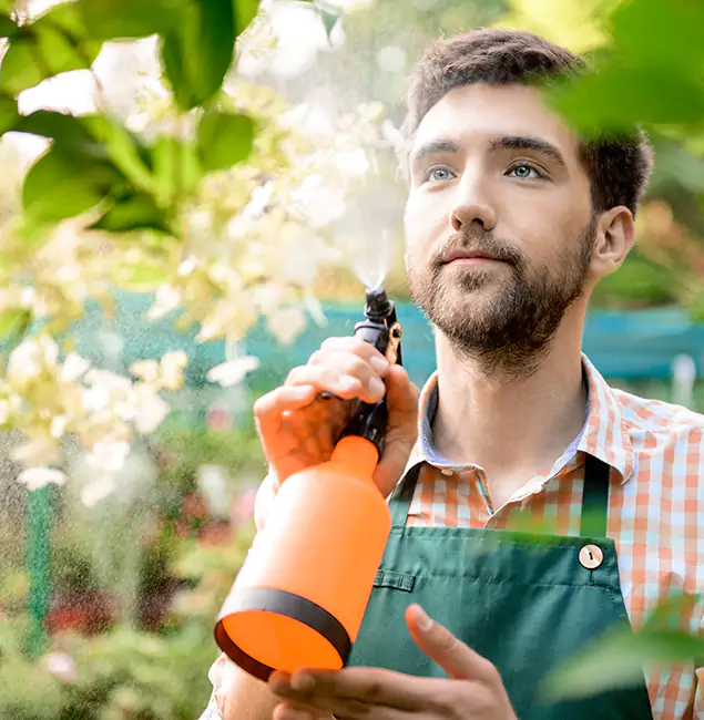 Why Kearny Pest Control Pro Is the Best Mosquito Control Company in Kearny, NJ?