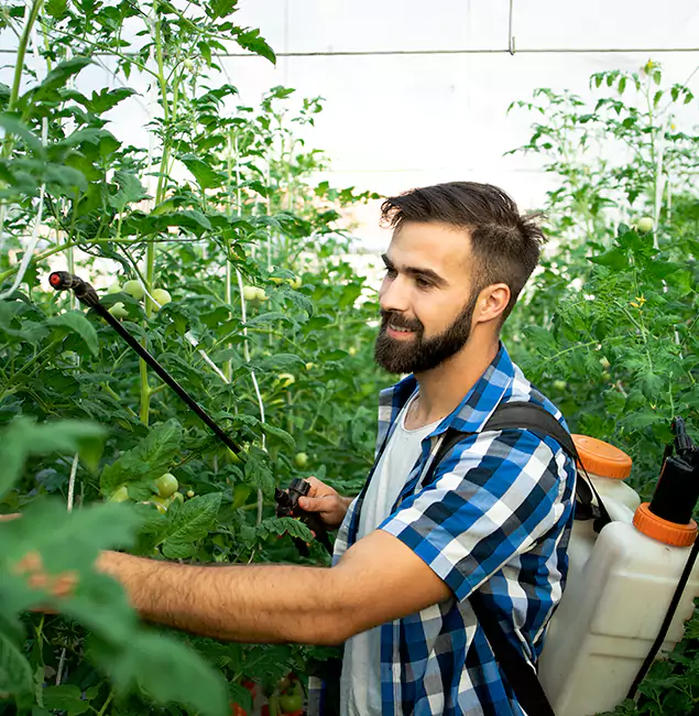 Why Kearny Homeowners Choose Kearny Pest Control Pro for Mosquito Spraying?