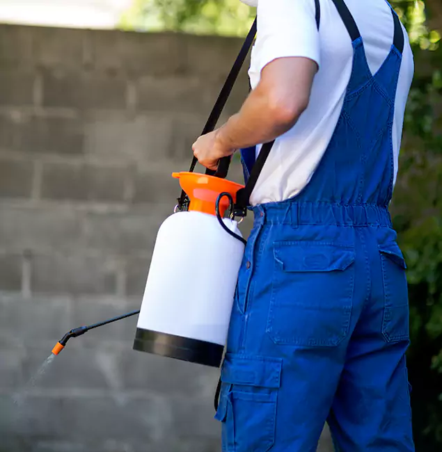 Why Kearny Pest Control Pro Delivers the Best Mosquito Control in Kearny, NJ?