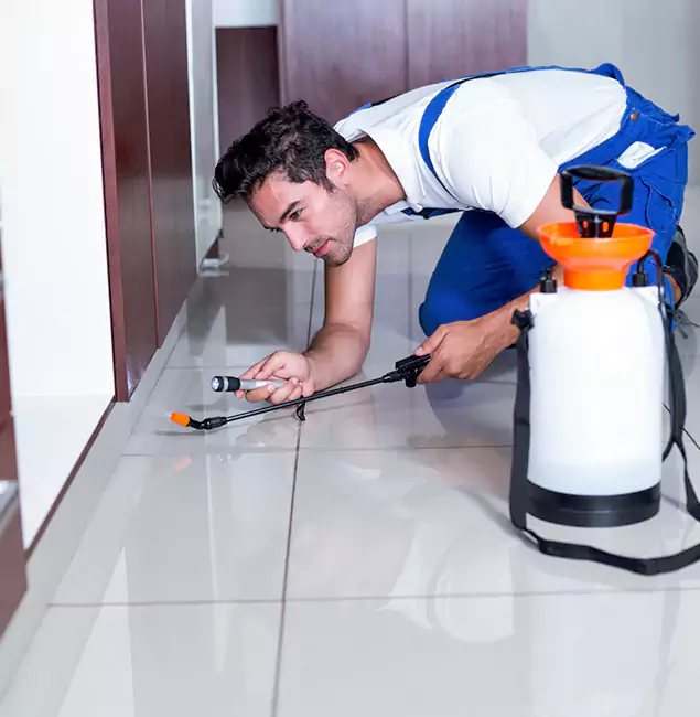 Why Kearny Pest Control Pro Is the Proven Choice in Kearny, NJ?