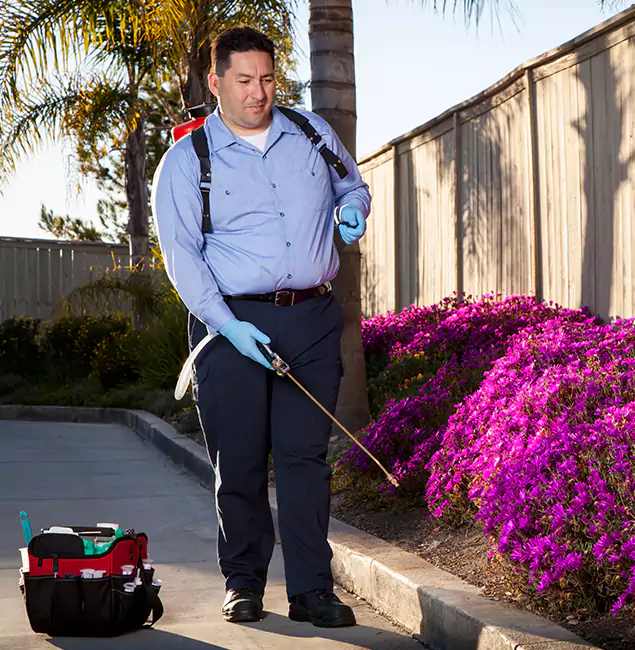 Why Choose Kearny Pest Control Pro in Kearny, NJ?