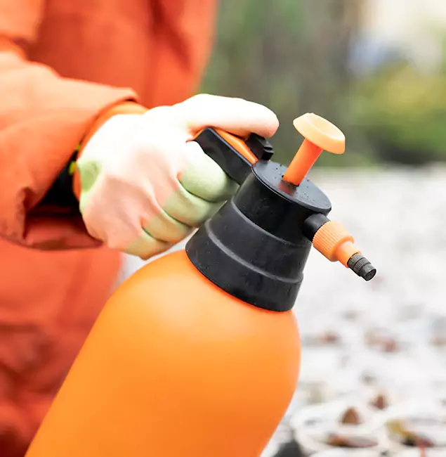 Why Choose Kearny Pest Control Pro for Orange Termite Treatment in Kearny, NJ?