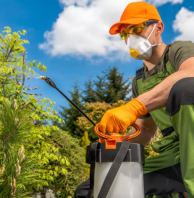 Why Choose Kearny Pest Control Pro for Outdoor Pest Control in Kearny, NJ?