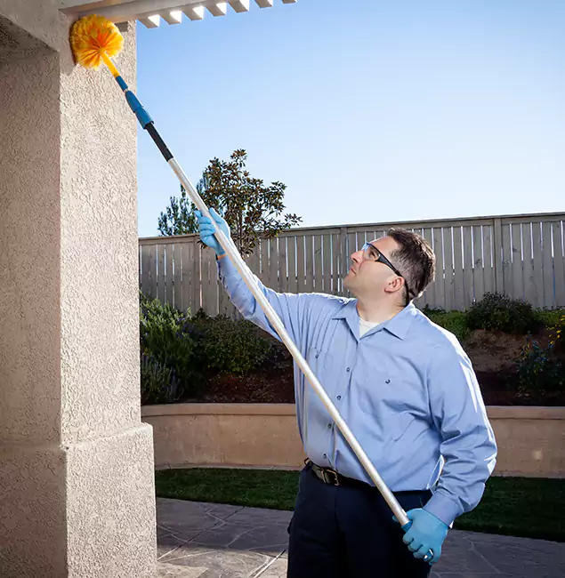 Why Choose Kearny Pest Control Pro for Pest Control Services in Kearny, NJ?