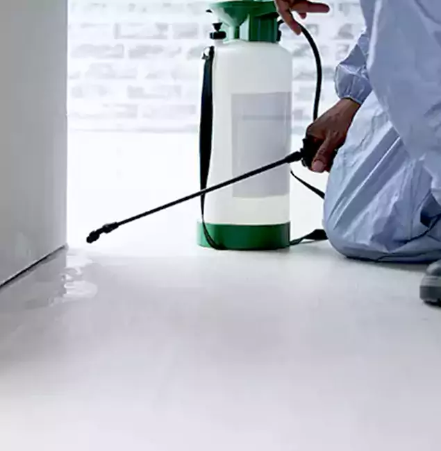 Why Choose Kearny Pest Control Pro for Rat Exterminator in Kearny, NJ?