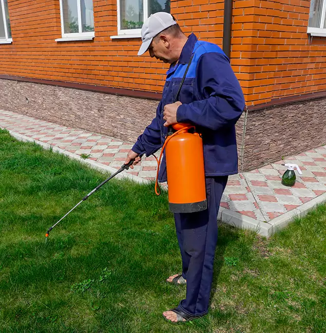 Why Choose Kearny Pest Control Pro for Residential Pest Control in Kearny, NJ?