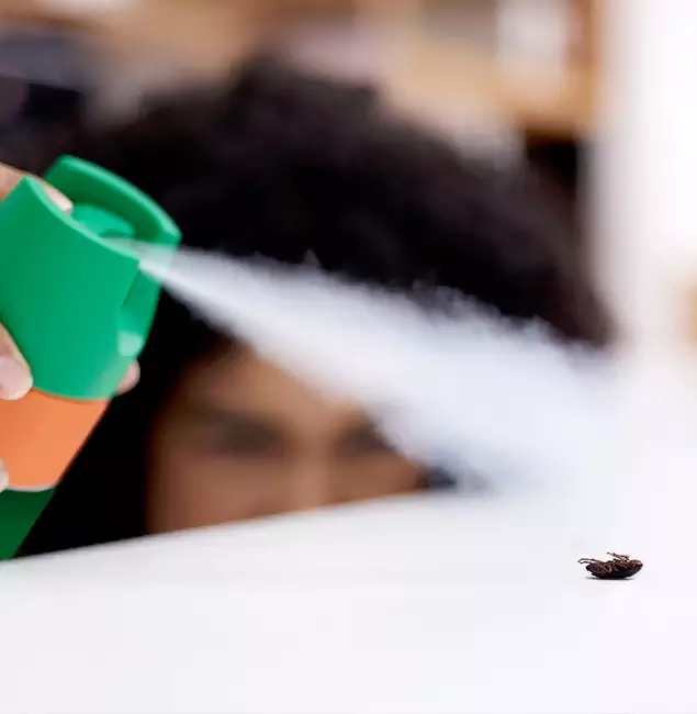 Why Kearny, NJ Homeowners Choose Kearny Pest Control Pro for Roach Pest Control?