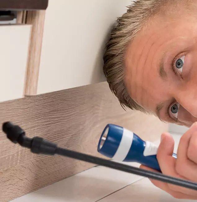 Why Choose Kearny Pest Control Pro for Rodent Exterminator in Kearny, NJ?