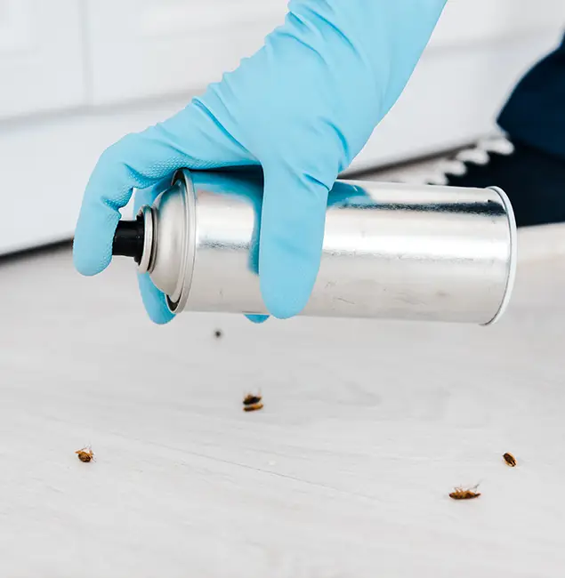Why Choose Kearny Pest Control Pro for Safe Bed Bug Treatment in Kearny, NJ?