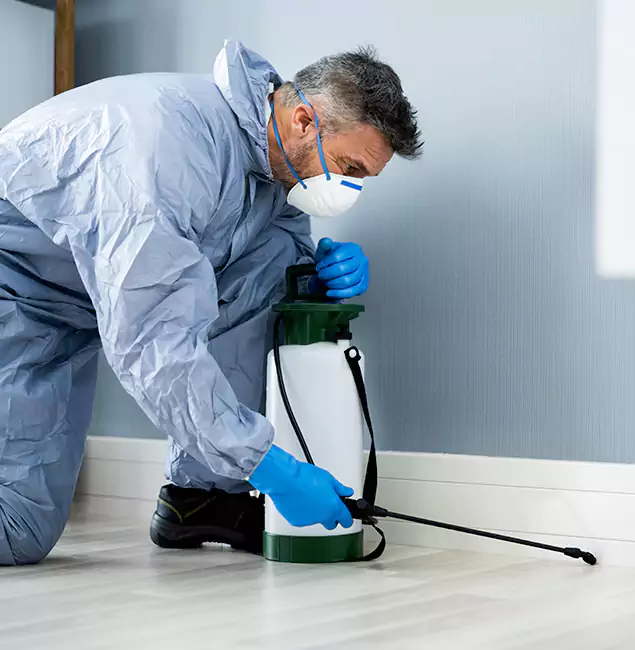 Why Choose Kearny Pest Control Pro for Subterranean Termites Treatment in Kearny, NJ?
