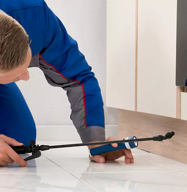 Why Kearny Residents Choose Kearny Pest Control Pro to Get Rid of Sugar Ants?