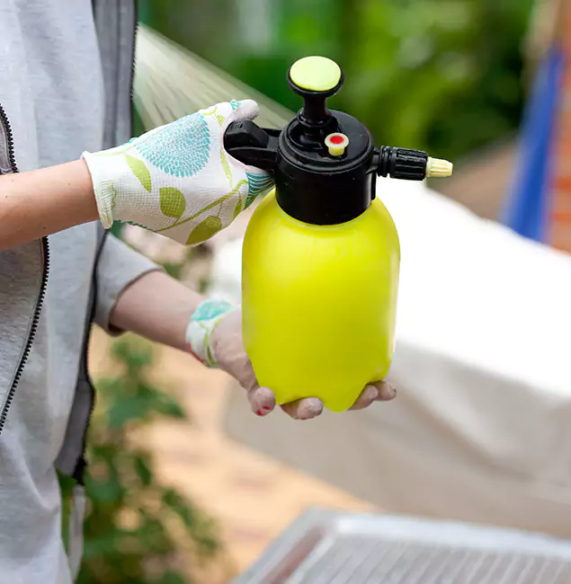 Why Choose Us: Kearny Pest Control Pro Termite Spraying Experts in Kearny, NJ?