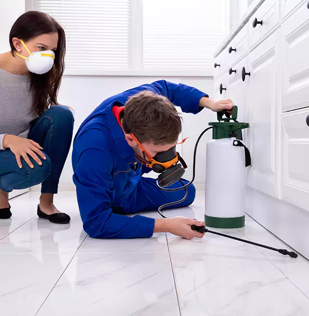 Why Choose Wood Termite Treatment by Kearny Pest Control Pro in Kearny, NJ?