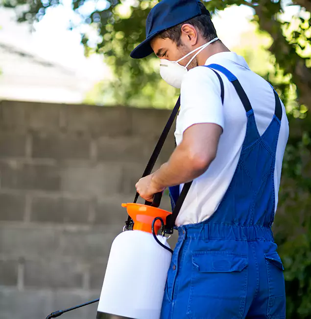 Why Kearny Pest Control Pro Is the Right Choice for Yellow Jacket Removal in Kearny, NJ?