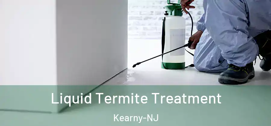  Liquid Termite Treatment Kearny-NJ