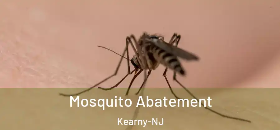  Mosquito Abatement Kearny-NJ