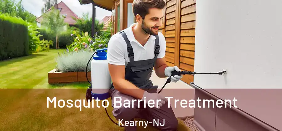  Mosquito Barrier Treatment Kearny-NJ