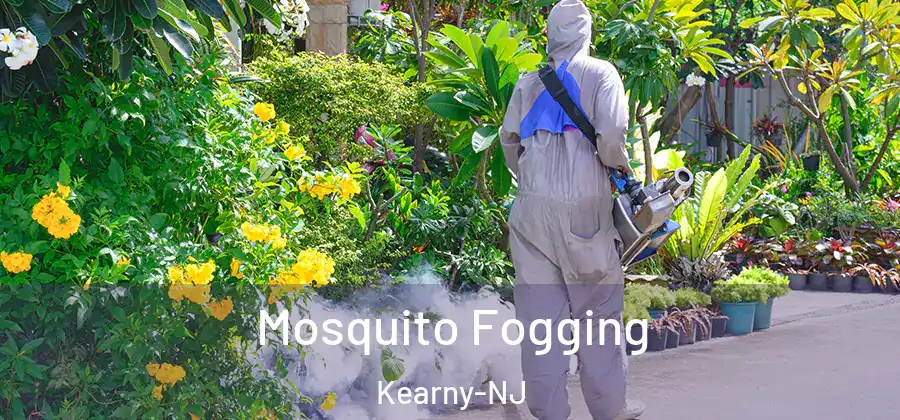 Mosquito Fogging Kearny-NJ