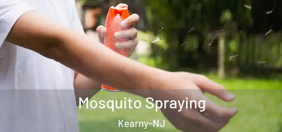 Mosquito Spraying Kearny-NJ