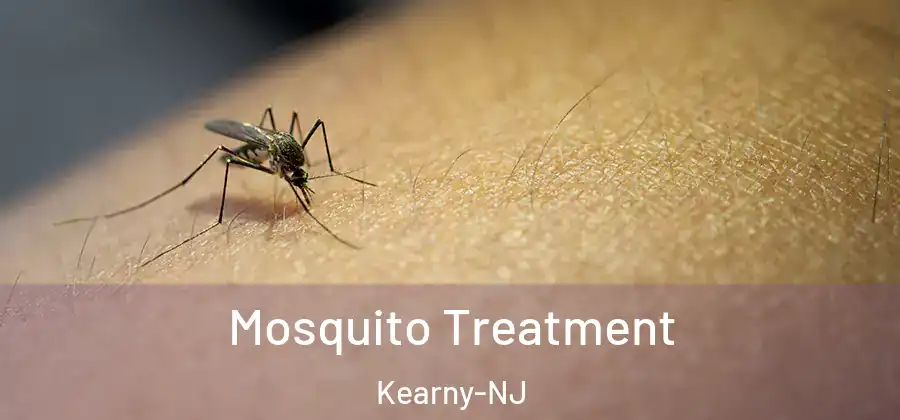 Mosquito Treatment Kearny-NJ
