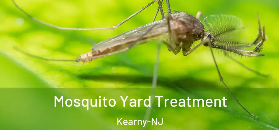  Mosquito Yard Treatment Kearny-NJ