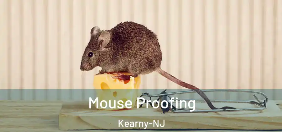  Mouse Proofing Kearny-NJ