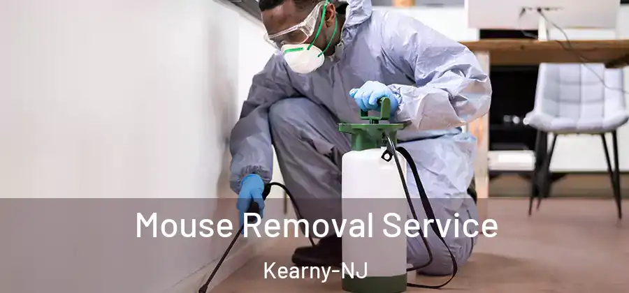 Mouse Removal Service Kearny-NJ