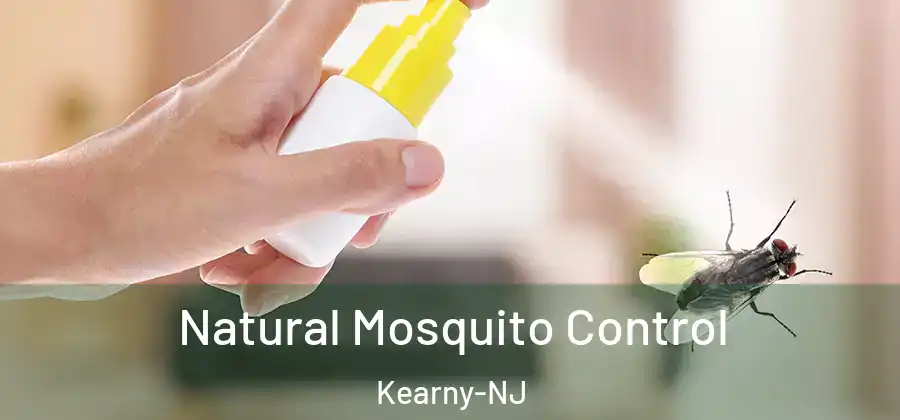  Natural Mosquito Control Kearny-NJ