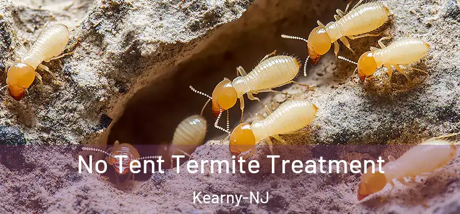 No Tent Termite Treatment Kearny-NJ