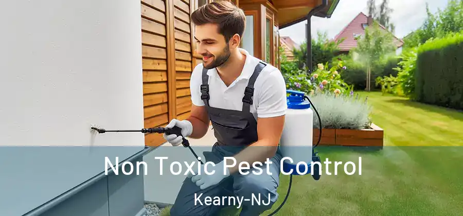  Non Toxic Pest Control Kearny-NJ