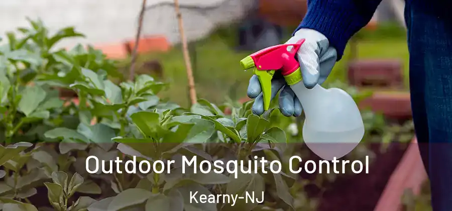  Outdoor Mosquito Control Kearny-NJ