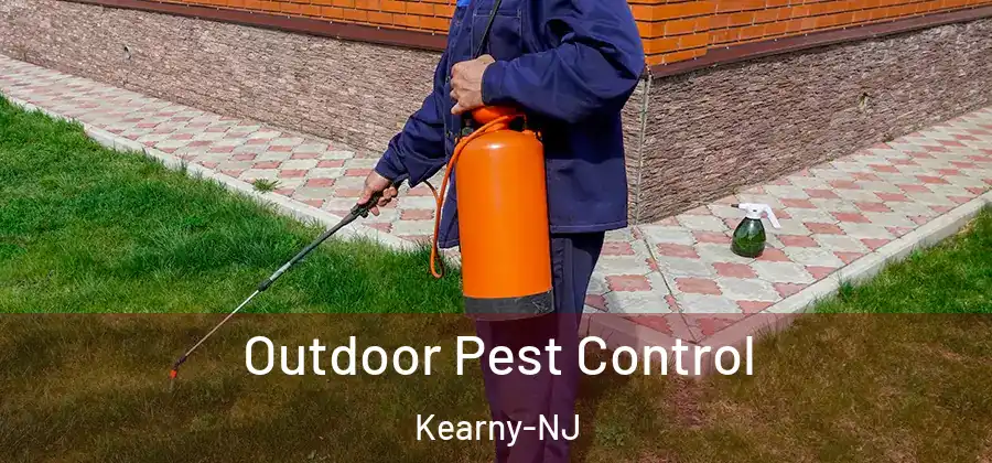 Outdoor Pest Control Kearny-NJ