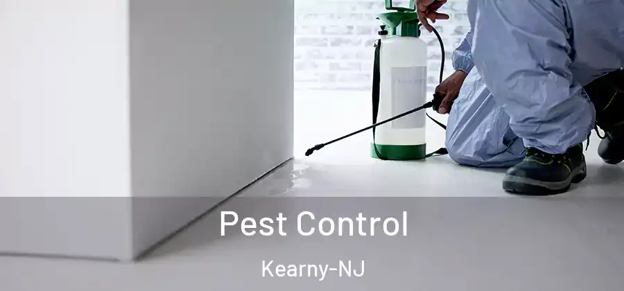 Pest Control Kearny-NJ