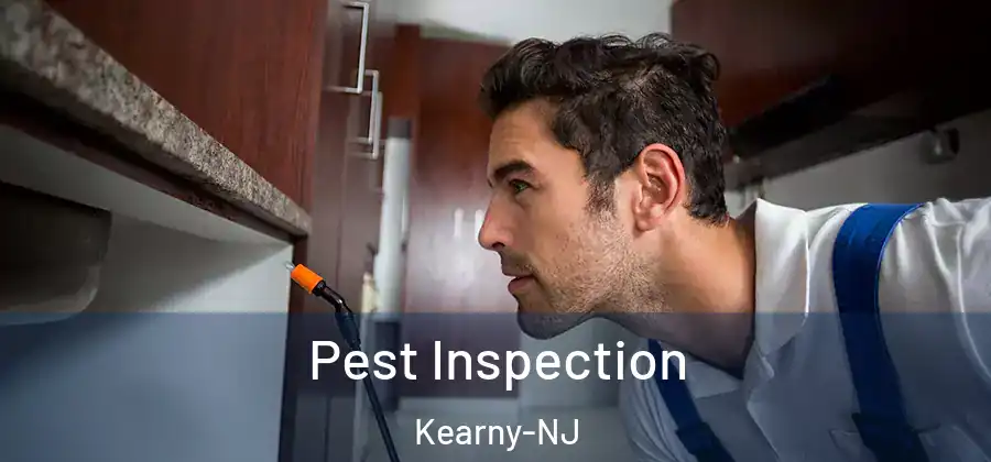 Pest Inspection Kearny-NJ