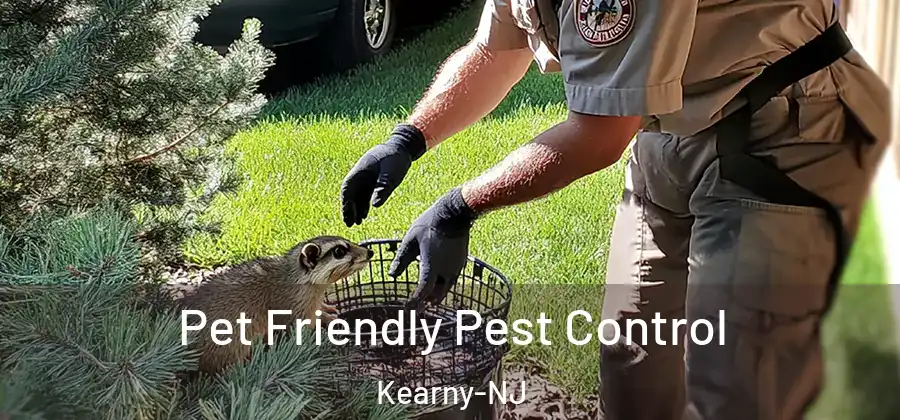  Pet Friendly Pest Control Kearny-NJ