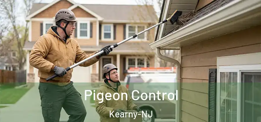 Pigeon Control Kearny-NJ