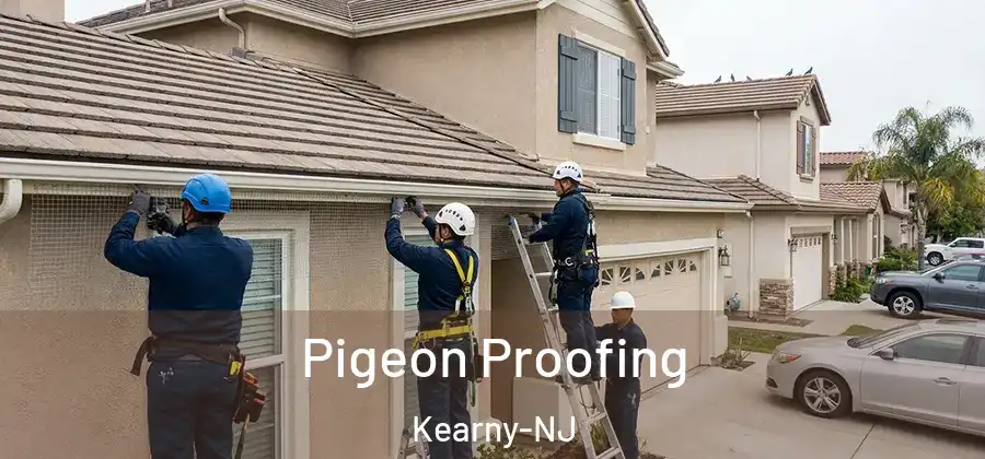 Pigeon Proofing Kearny-NJ