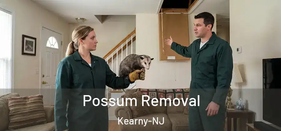  Possum Removal Kearny-NJ