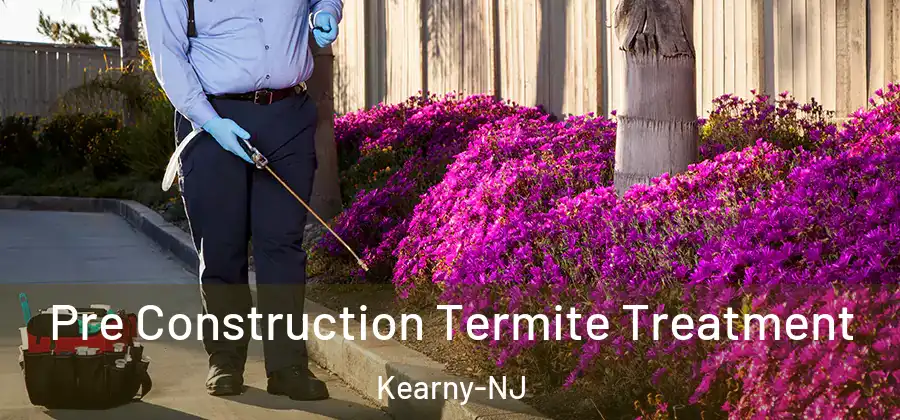  Pre Construction Termite Treatment Kearny-NJ