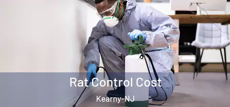 Rat Control Cost Kearny-NJ