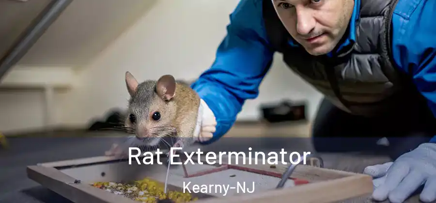 Rat Exterminator Kearny-NJ