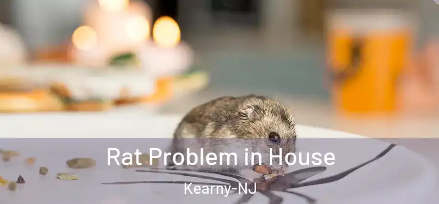 Rat Problem in House Kearny-NJ