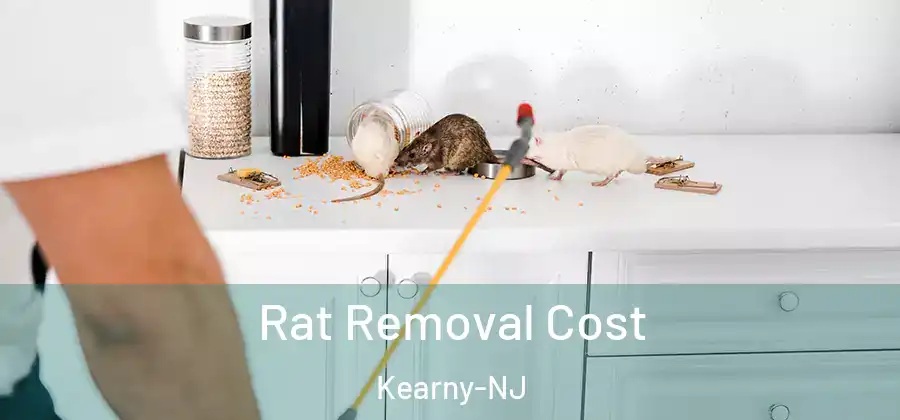 Rat Removal Cost Kearny-NJ