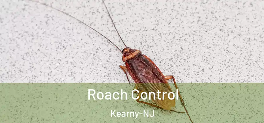  Roach Control Kearny-NJ