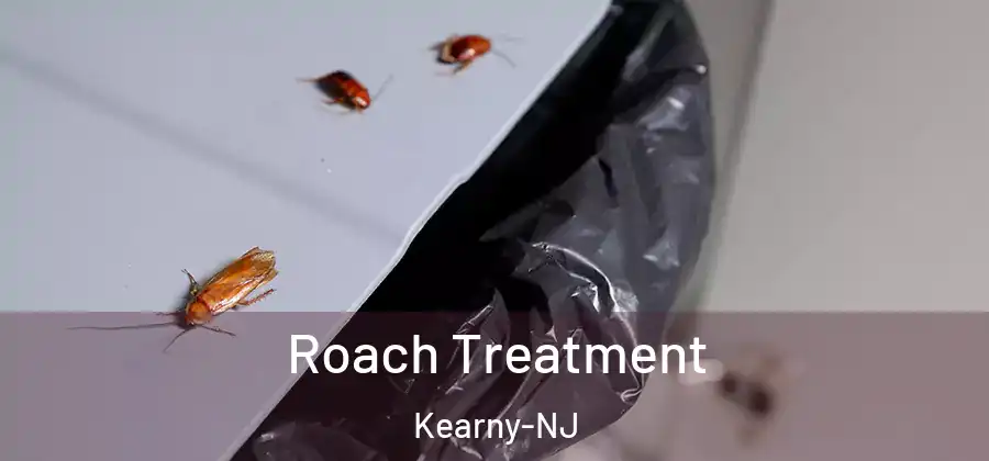 Roach Treatment Kearny-NJ