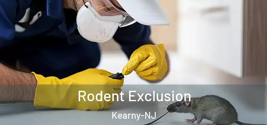 Rodent Exclusion Kearny-NJ