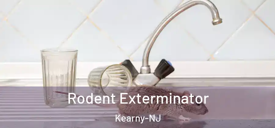 Rodent Exterminator Kearny-NJ